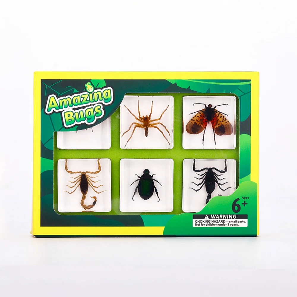 Education Toys Real Bugs in Resin Discovery Kits for kids collection sets resin insect paperweights bugs in resin Early Toys