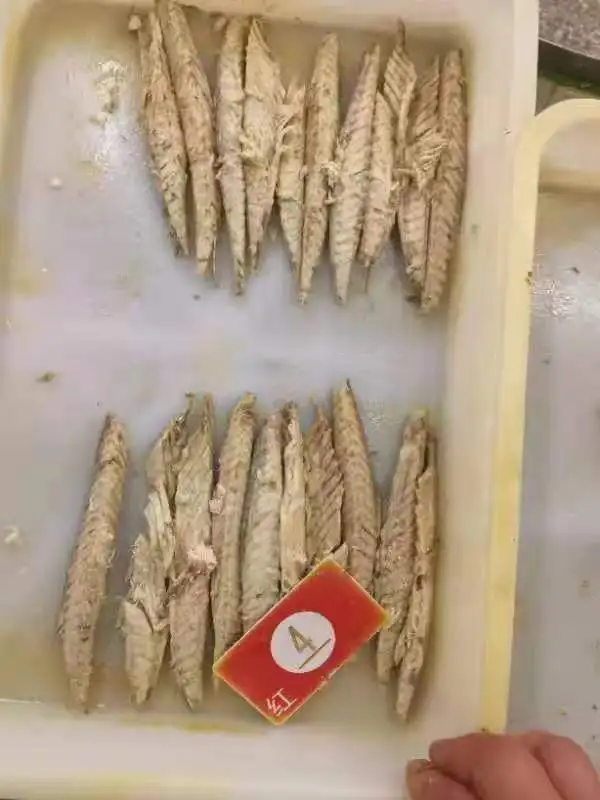Origin china New stock precooked bonito tuna loin with good quality