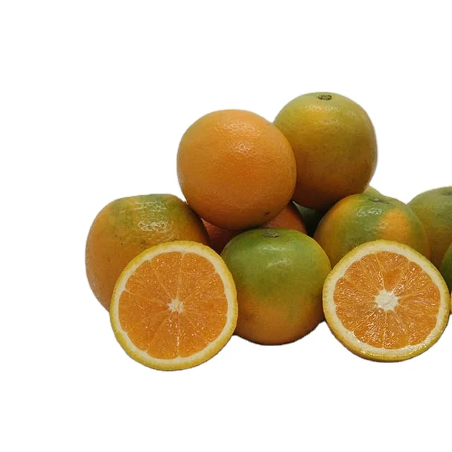 new crop good quality Fresh citrus fruit orange Summer Valencia oranges navel oranges