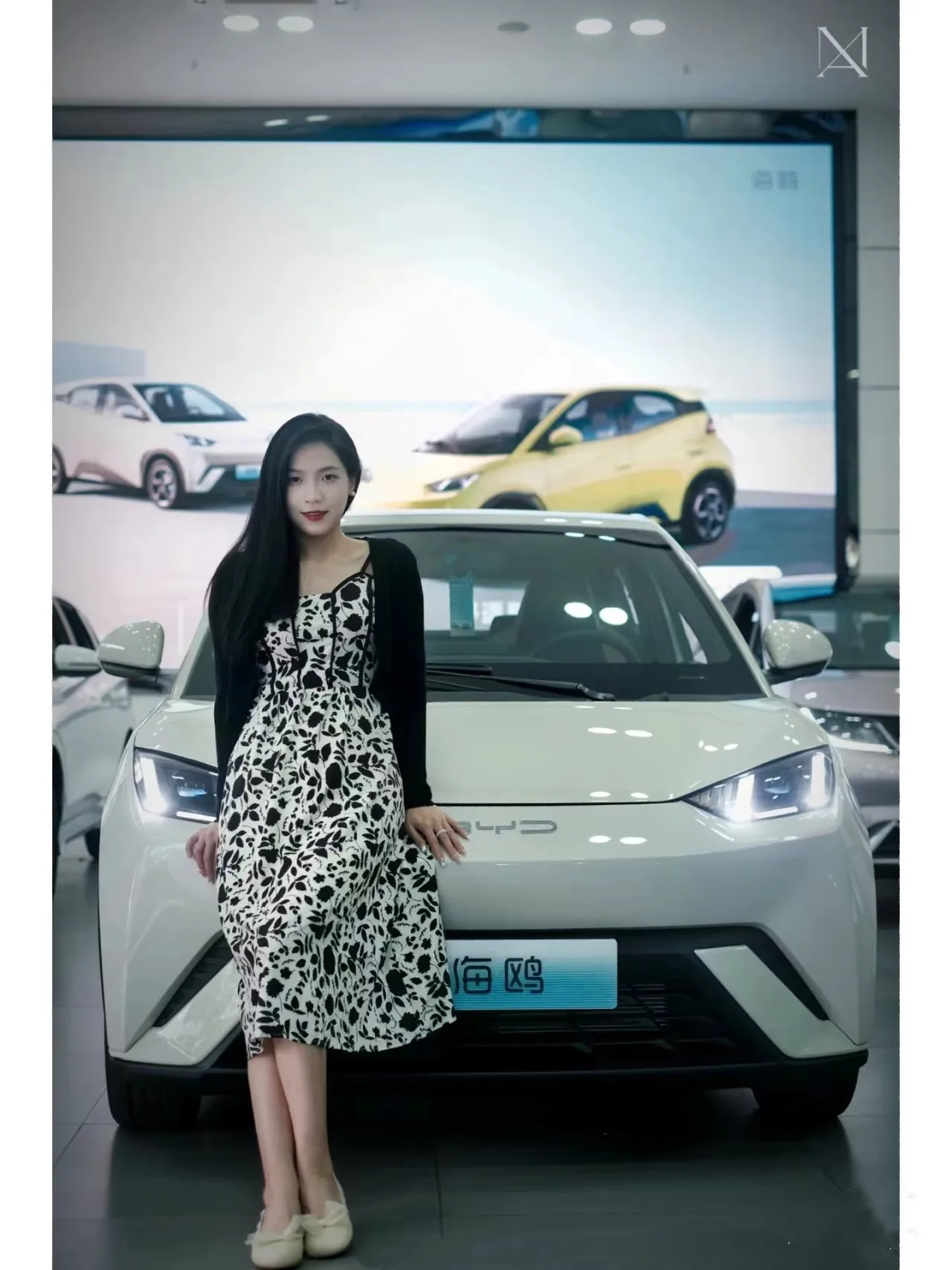 2023 new best selling Byd seagull China manufacture cheap motor 305KM range 5-door 4-seat electric Ev Car for Auto