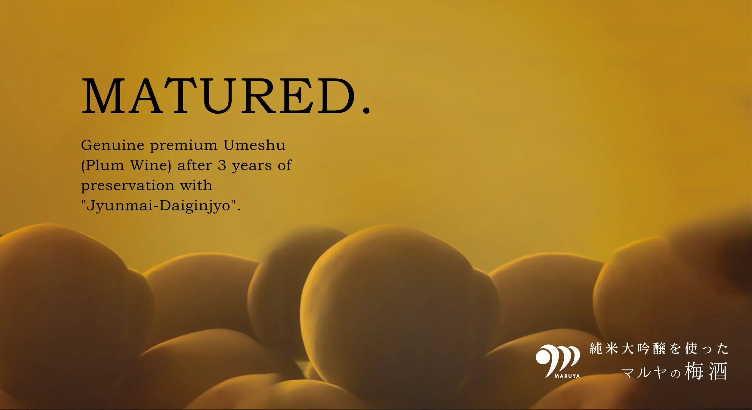 Japanese fruity aroma plum wine alcoholic beverage wholesale