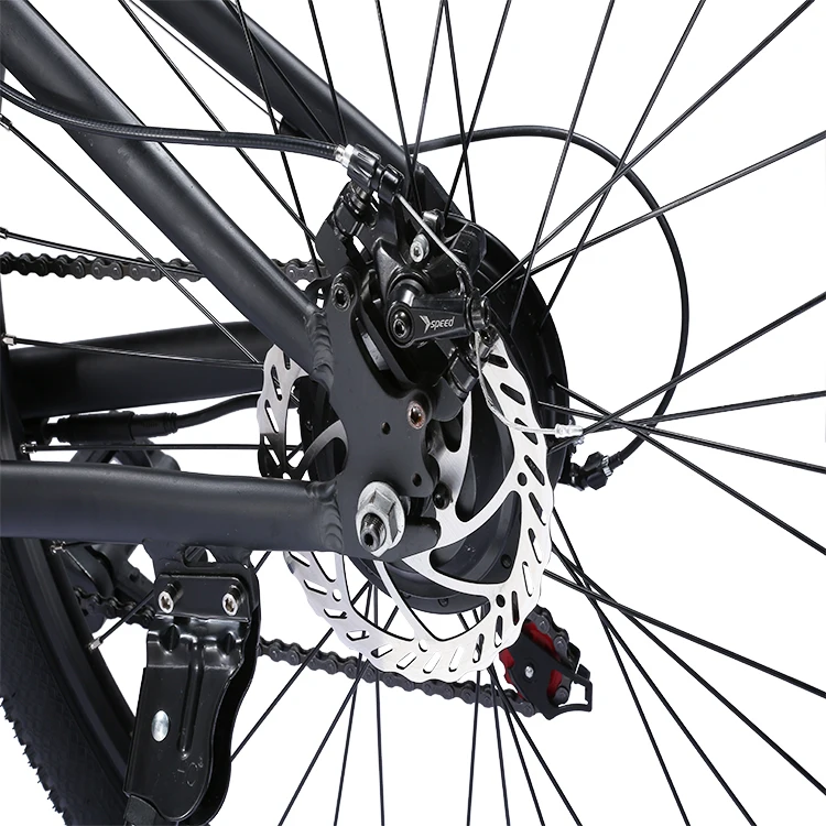 Freego China Hot Sale 48V Electric Fat Tire Bike With Removable Battery  Electric Mountain Bike