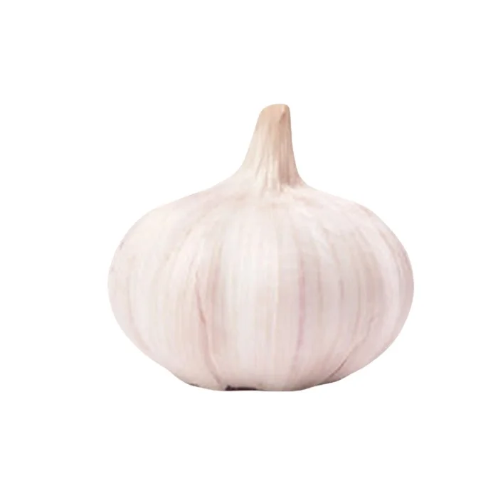 Fresh Normal White Garlic / Red Galic in 10kg/Carton with Different Size -Hot Sale !!!