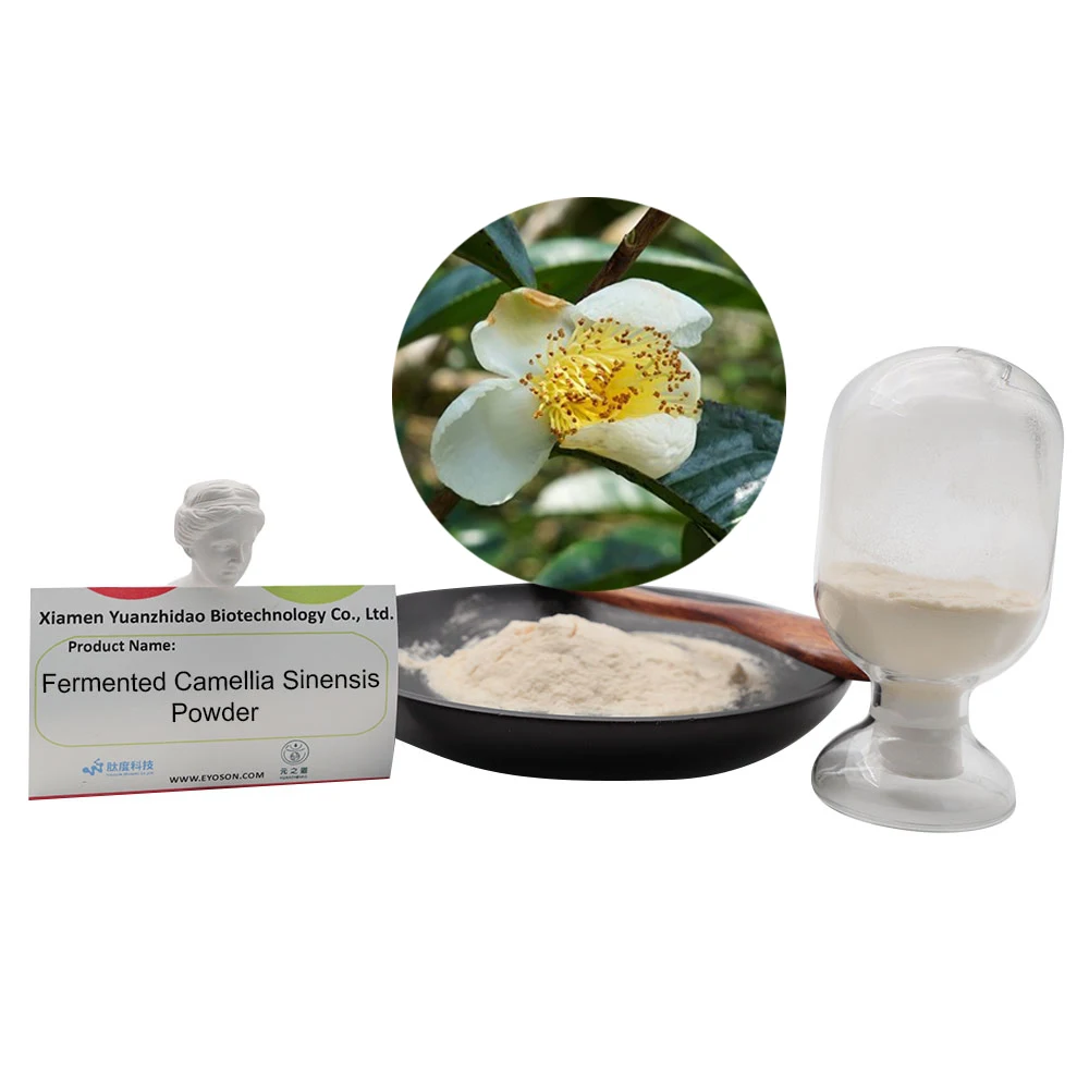 Wholesale  Fermented Camellia Nitidissima Powder Improves Immune System Function Maintain A Good Metabolism