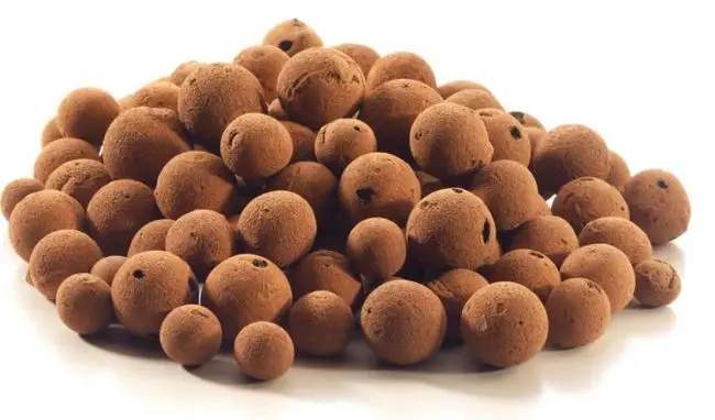 G&N 8-12mm Agriculture Leca Clay Balls Clay Pebbles Hydroponic for Hydroponic Horticulture Planting