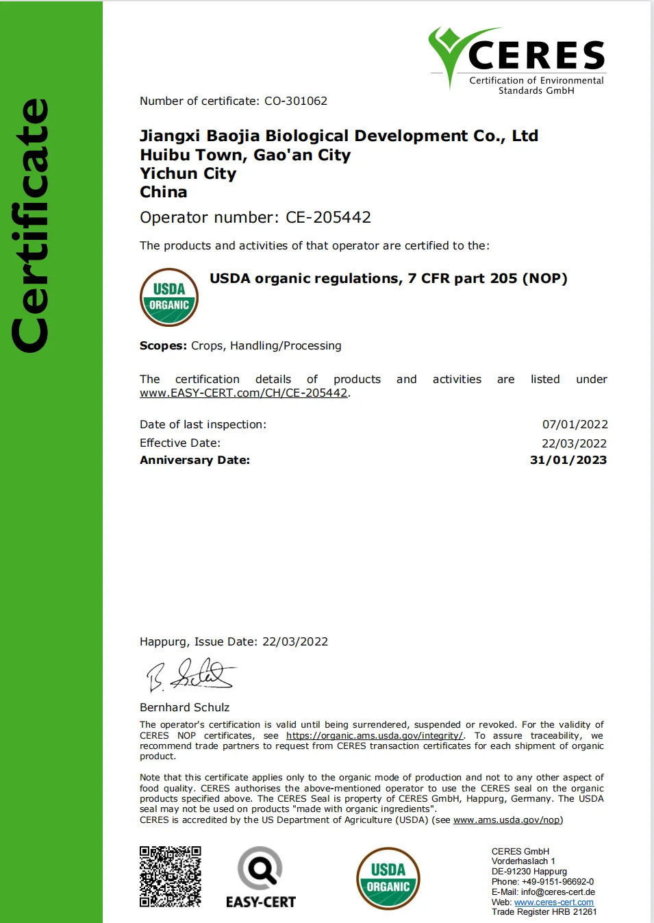 Refined Camellia Seed Oil Yellow Light Bottle Bulk Aromatherapy Packaging Organic Cosmetics Plastic Health Pure Feature Clean