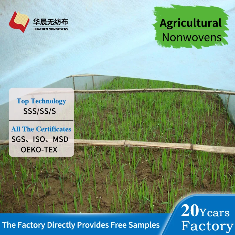 Agriculture Fruit Protection Bag Pp Nonwoven Garden Plant Banana Protect Bags Eco-friendly Non Woven Fabric