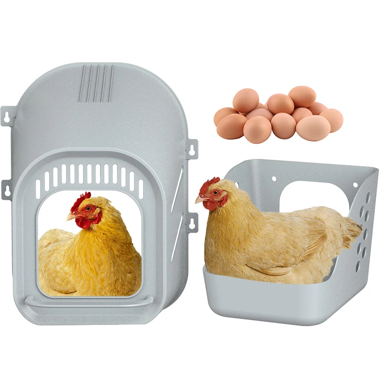 Wall Hanging Easy To Clean Chicken Egg Laying Box Plastic Nesting Box For Hen Egg Nest