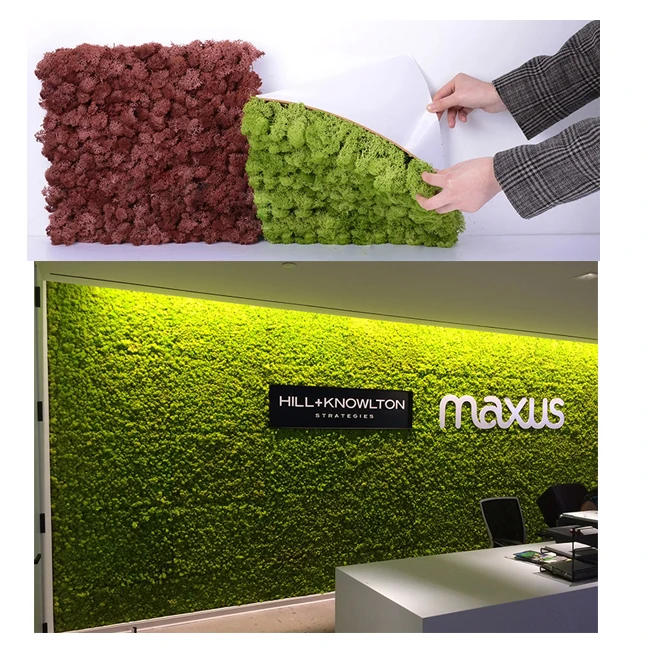 Christmas Wall Decor Preserved Stabilized Reindeer Moss Panel real natural moss wall panel