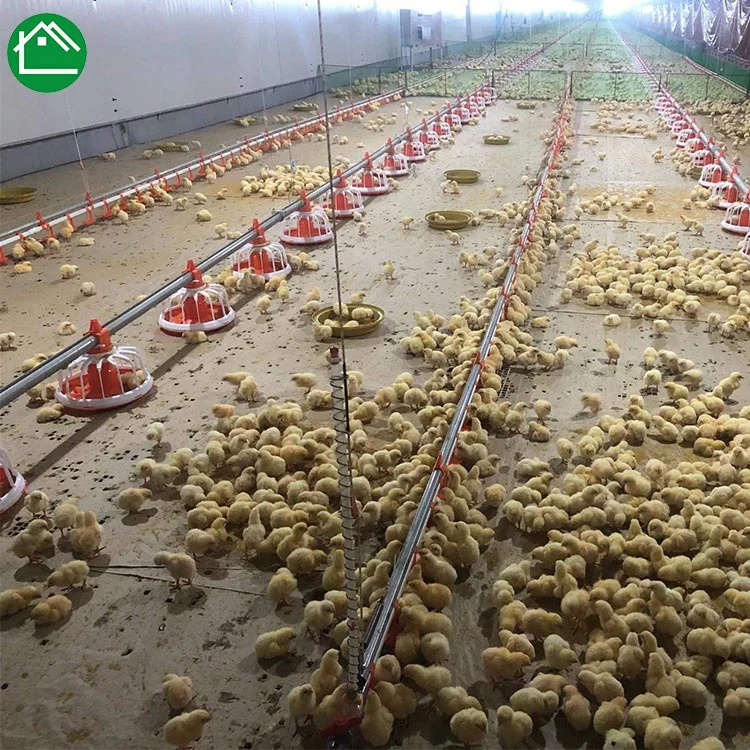 Автоматическая птицеферма нового дизайна сборная строительный дом для