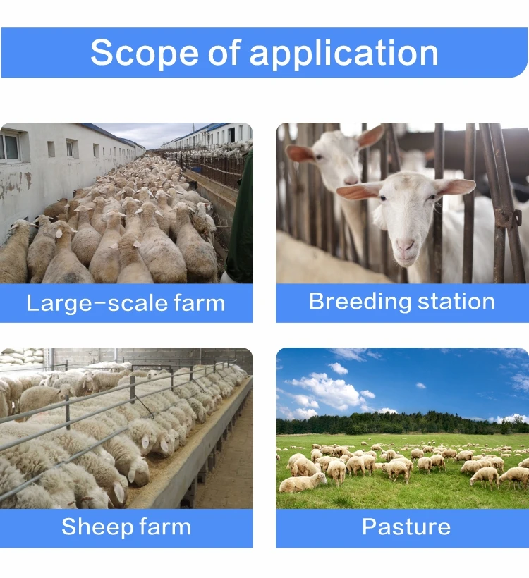New Condition Intelligent Sheep Weighing System with 1 Year Warranty