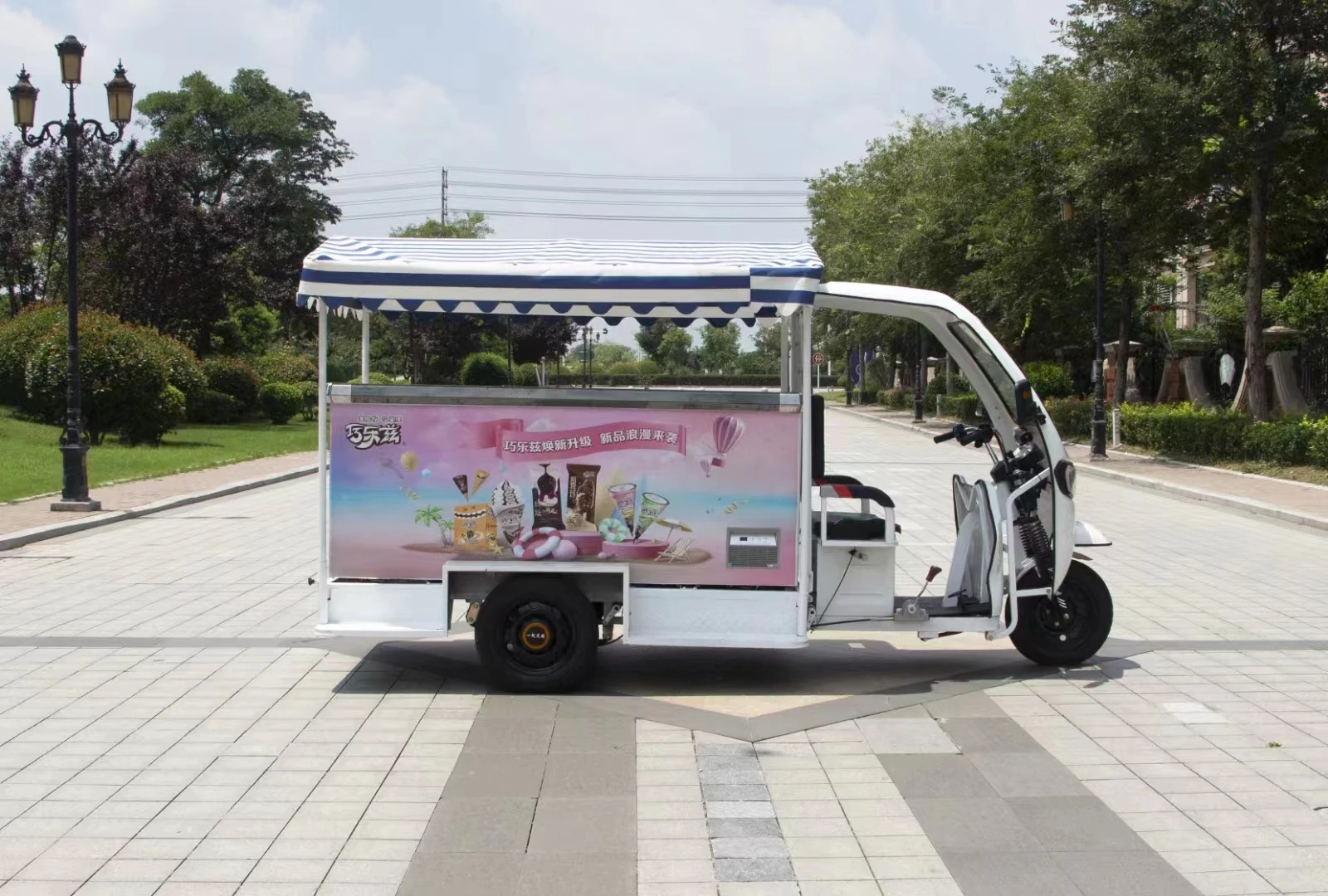 Customized mobile stall electric tricycle with covered goods electric tricycle three-wheeled transport vehicle
