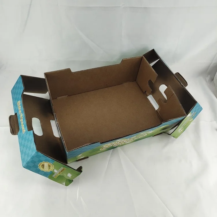 Custom Print Fruit Vegetable Packaging Eco friendly Plastic Free Cardboard Paper Carry Tray Box With Handle
