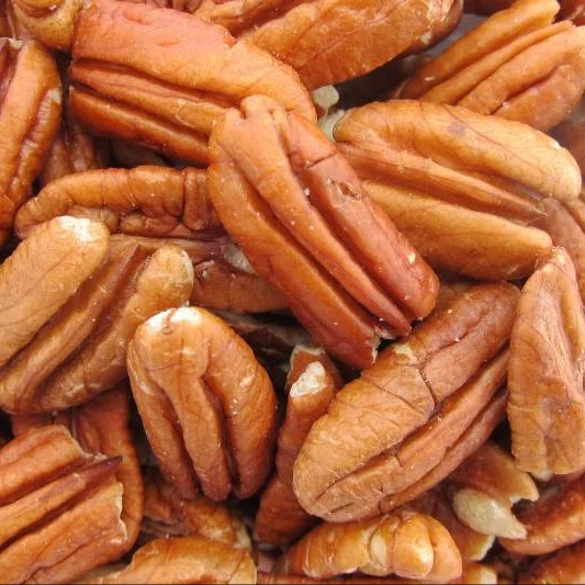pecan 20.png
