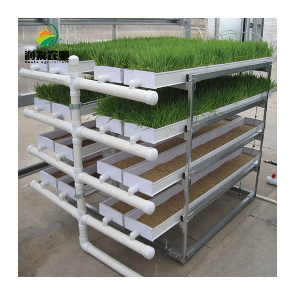 Automatic PVC Material Hydroponic Fodder Grass System Growing Machine