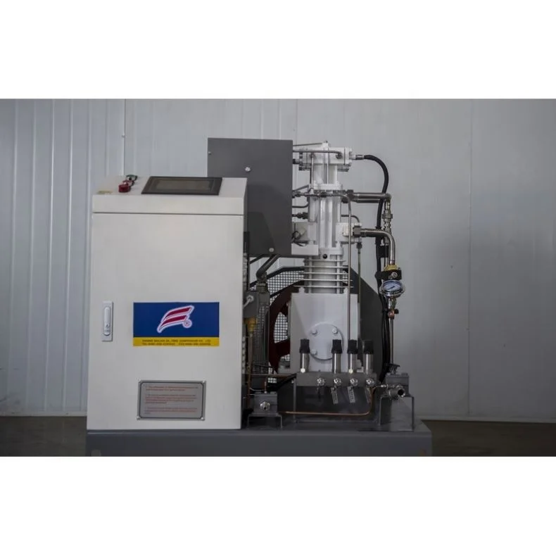 Professional Manufacturer Wholesale Price Air Compressor For Oxygen Concentrator