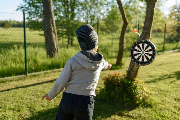 New product Explosion Dartscheibe Entertainment product dart board professional custom dart board darts for Bar Game