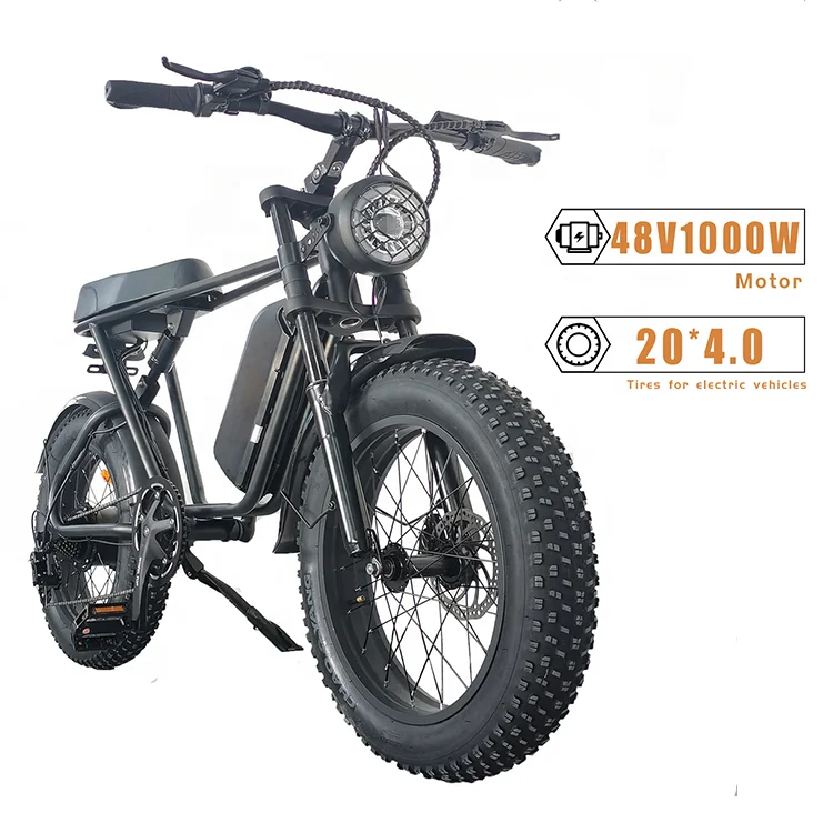 UK EU USA Wholesale 1000w Adult Road Tire Bike Mountain Electric City Bike