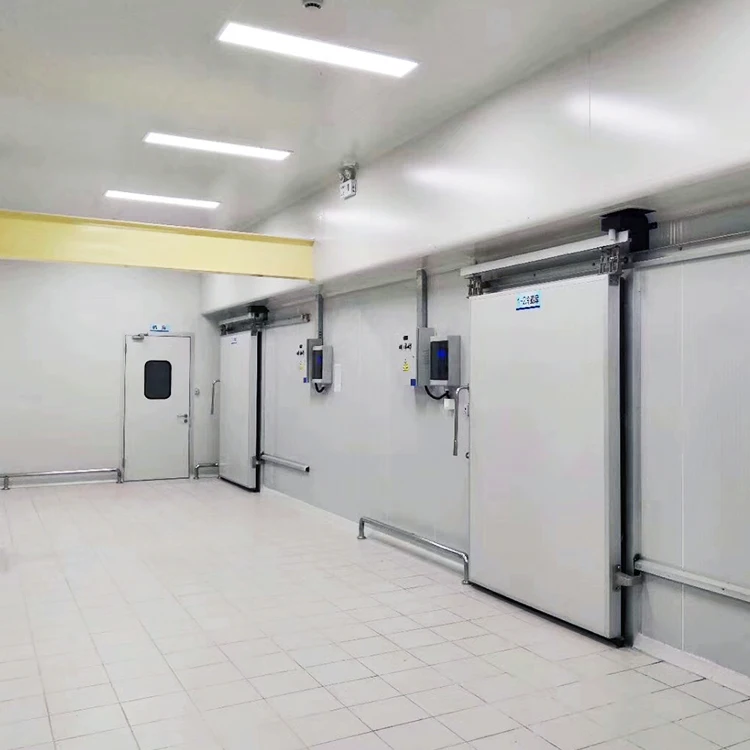 Food Warehouse Storage Cool Room, Chiller Room, Cold Room Freezer