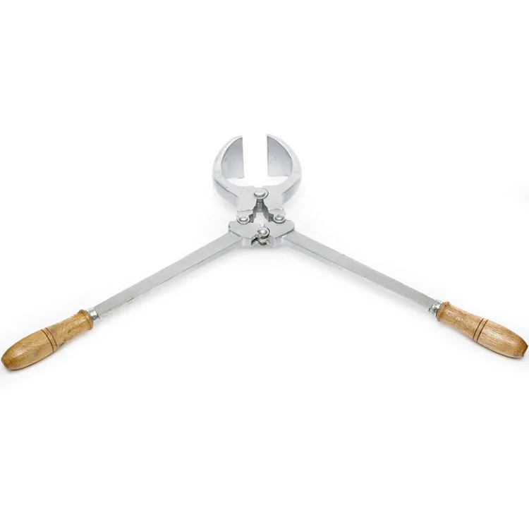 Молочный скот для крупного рогатого скота по цене, живые животные