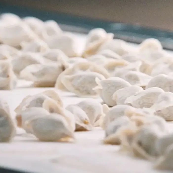 500 г SANQUAN безмясные халяльные продукты вегетарианские три свежих вкуса мгновенные Замороженные чины суп клецки