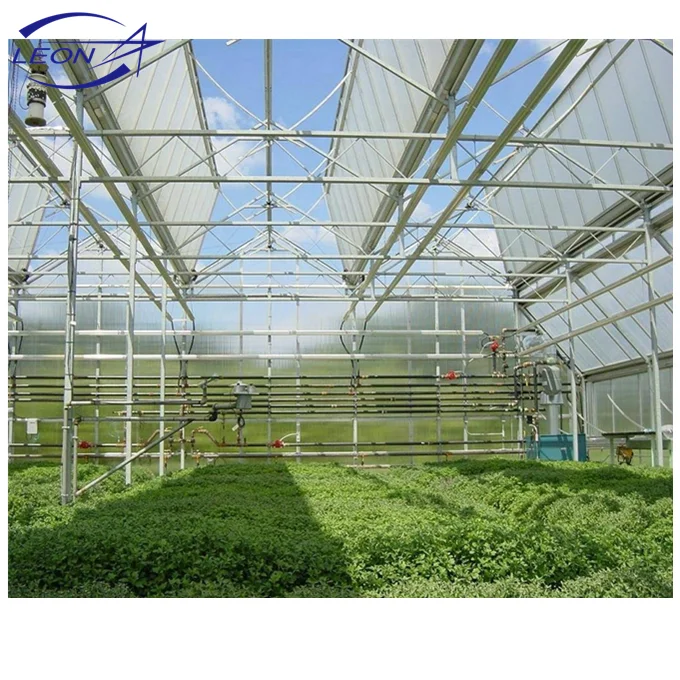 
Leon series best price hot sale plastic film and polycarbonate sheet greenhouse for sale 