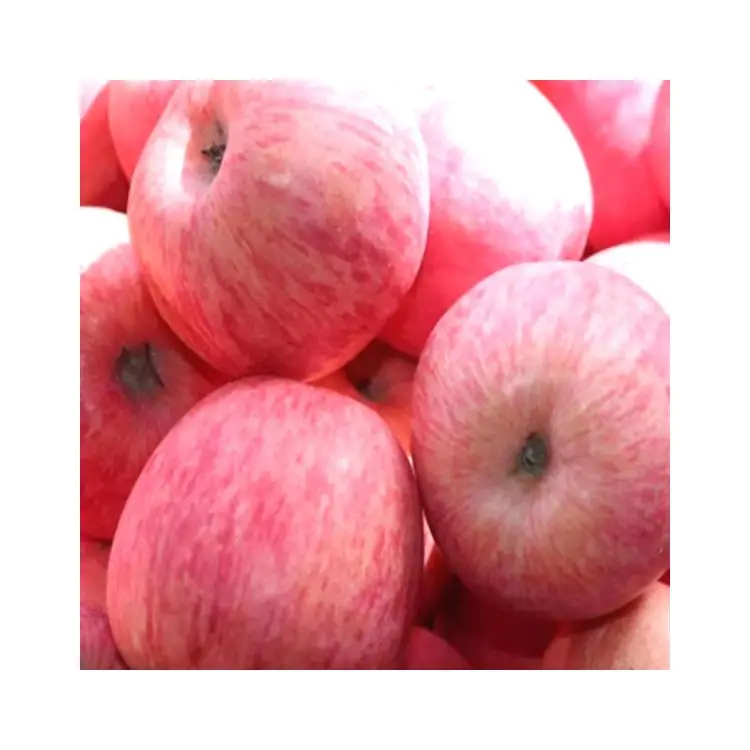 Competitive Price good farmer 65mm-85mm fuji apple chinese fresh red fuji apples