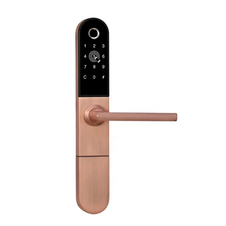 Biometric Fingerprint Identification Remote Control APP Password Electronic Door Lock For Apartment