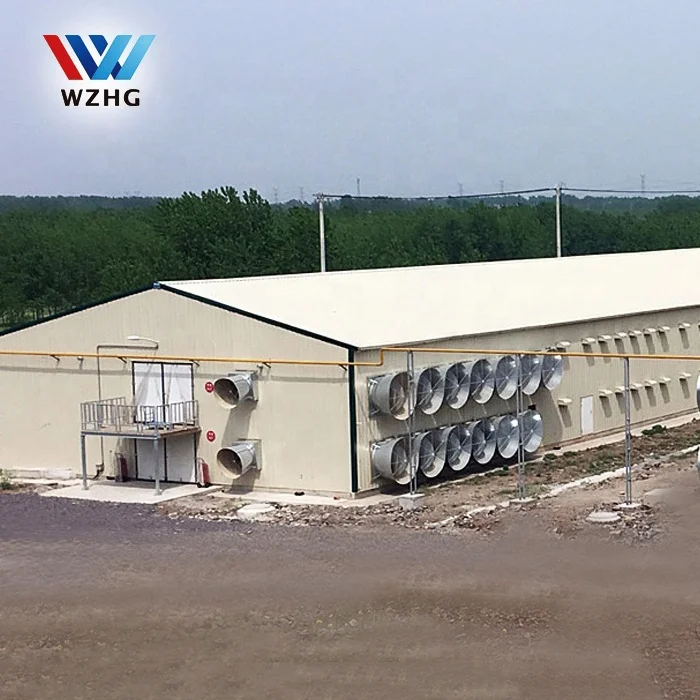 
Weizhengheng, стальная конструкция, дизайн, курятник для запуска simdach, птицеферма, купить Индию 