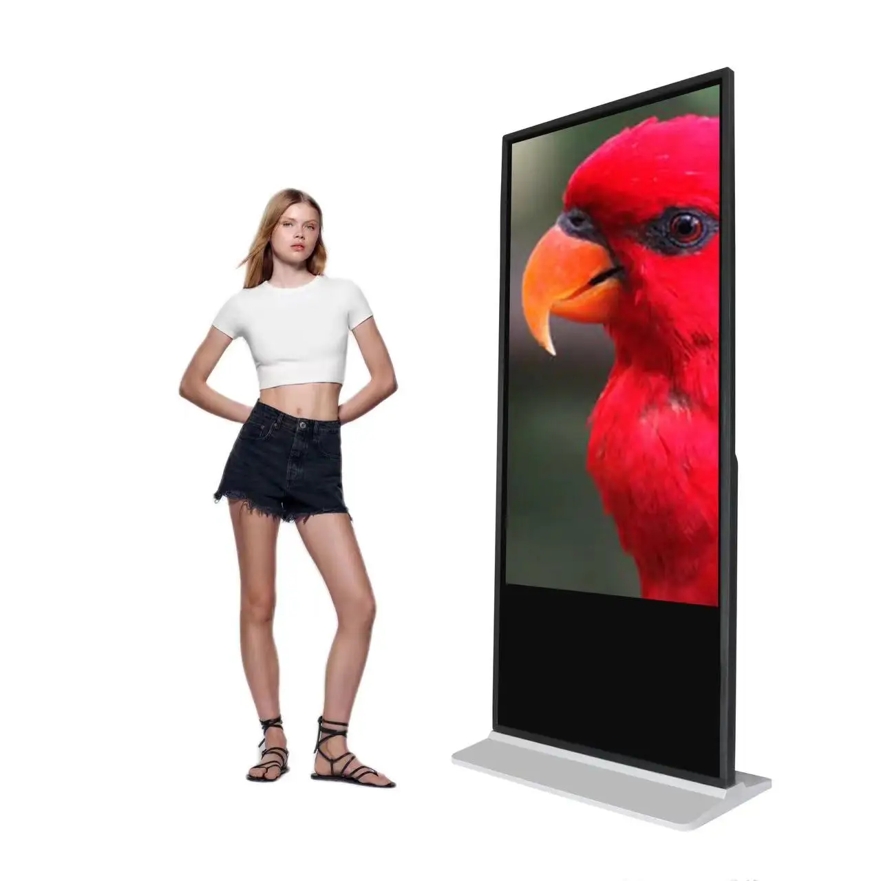 Оптовая продажа 43/49 дюймовый пользовательский сенсорный экран 4K интерактивный киоск напольная стойка для помещений рекламный ЖК-дисплей большой грузоподъемности BST