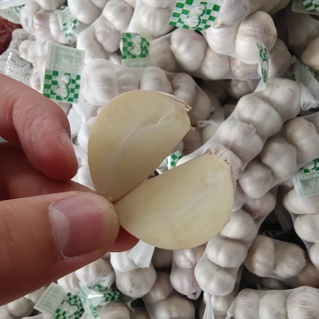 2024 Garlic Import Trade China White Garlic Fresh Garlic For Sale Export Egypt 5.0cm 5P