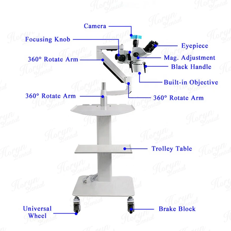 China Dental Adjustable LED  Binocular Microscope 360 Rotatable 10X Short Arm with Camera Dental Ophthalmic Microscope