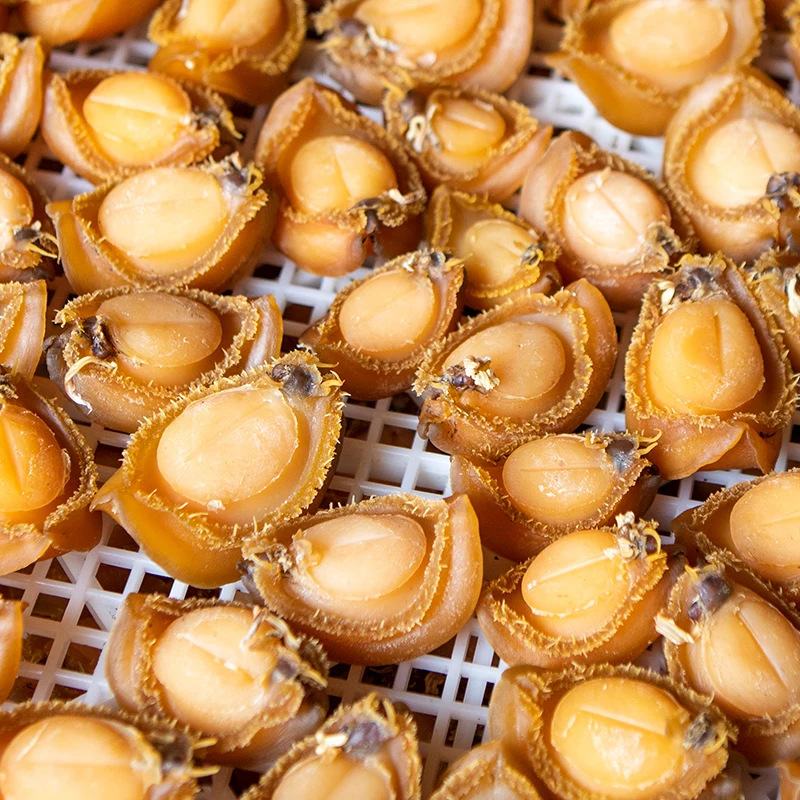 High quality dried abalone with high in nutrition FD technology good taste seafood powerful factory after sale service provided