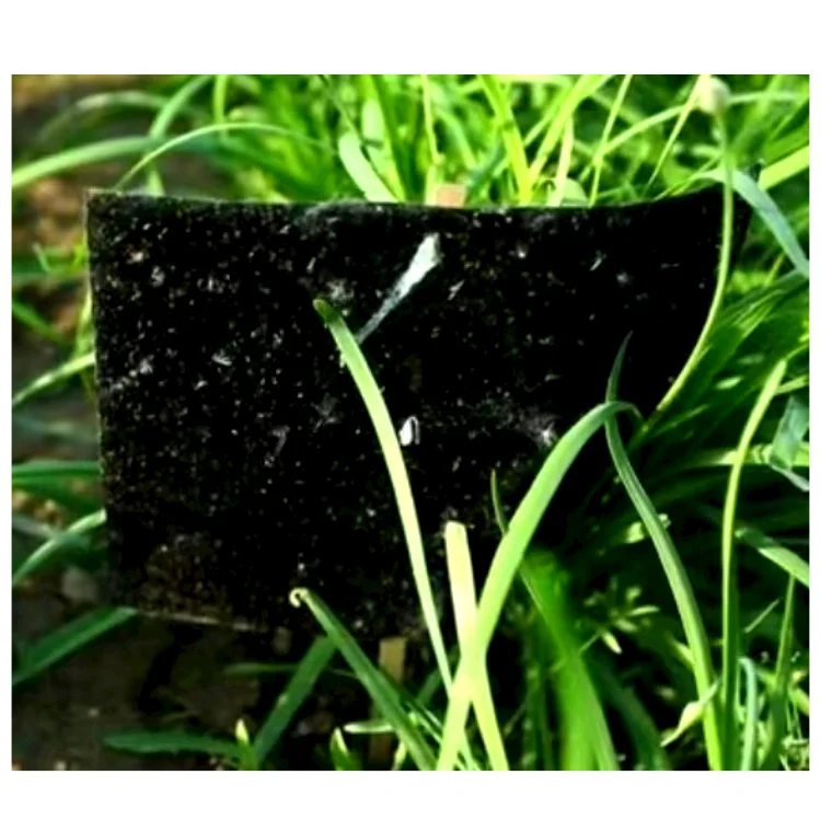 Agricultural Greenhouses Black Sticky Trap Pest Insects Killer Control Outdoor Black Sticky Trap Glue Board Insect Catcher