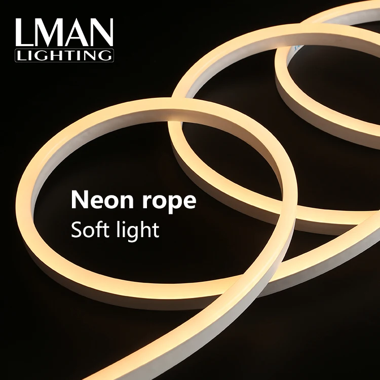 IP65 Waterproof 9*16MM SMD 2835 120eds/m 110v 220V PVC Neon Flex LED Rope