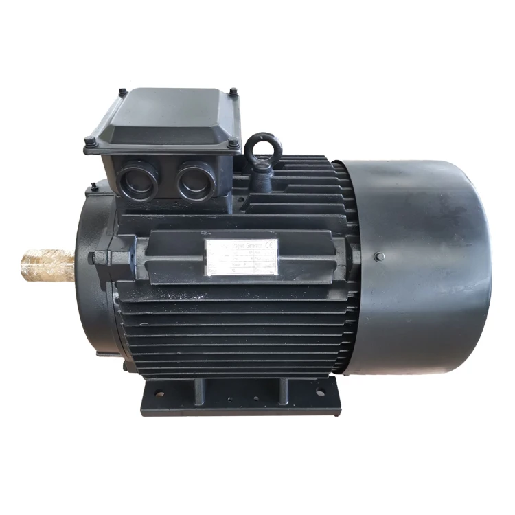 Three Phase Permanent Magnet Neodymium Alternator Pmg Generator 5.5 Kw 1500 RPM 220v