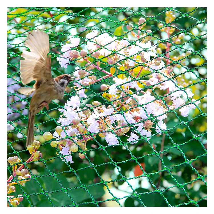 Protective  Weaving Cheap Hdpe Fire Retarding Anti Uv Hdpe Bird Net For Birds Catching
