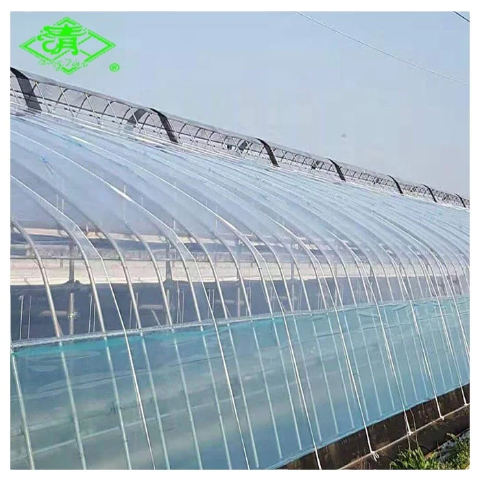 Agricultural Products Greenhouse Cover Plastic sheet/ Anti-Fogging & Dripping PO/ Plastic UV Protective Film for Agriculture