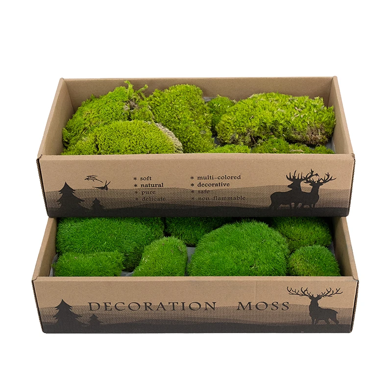 Premium Natural Green Decorative Real Pillow Moss Bun Moss Preserved Pole Moss musgo preservado