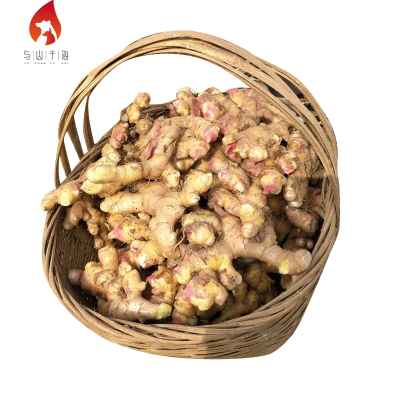 Natural Mountainous Areas Planting Yellow Ginger Chinese Bulk Fresh Ginger