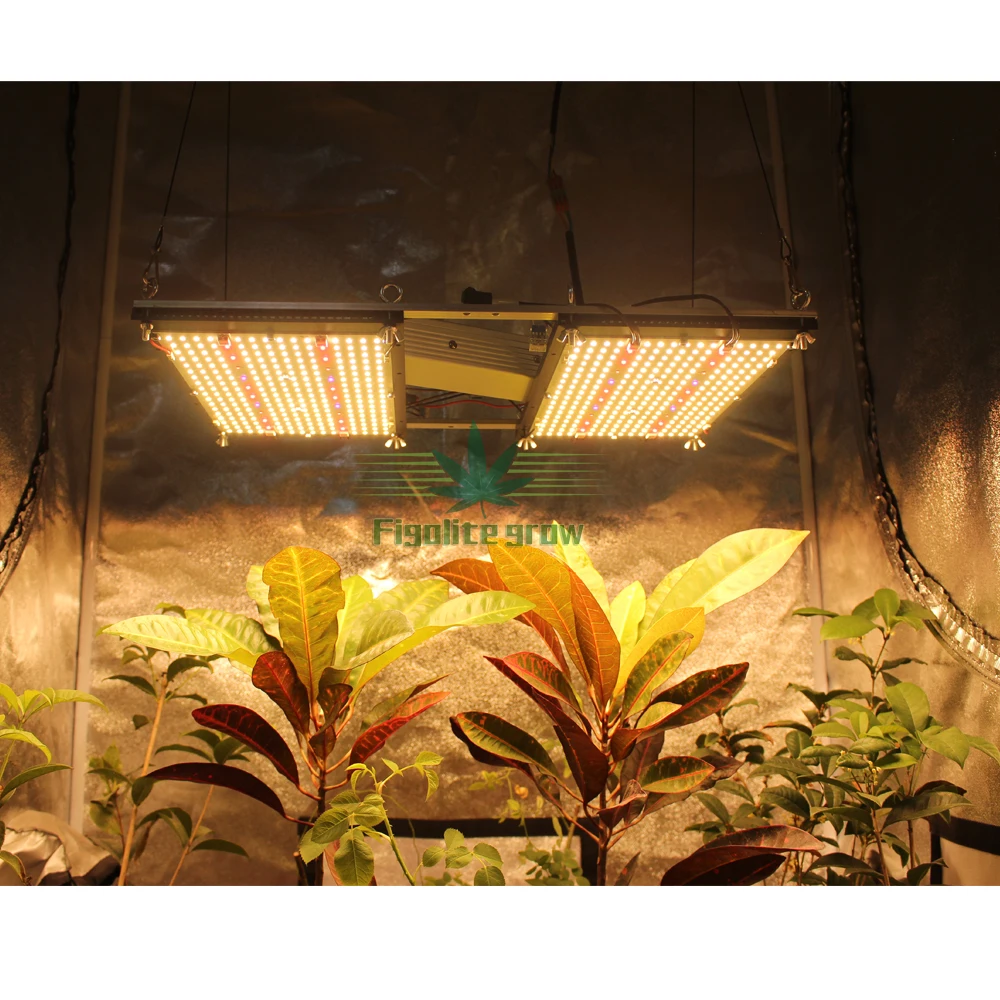  Figolite V4 led LM301H доска grow light 240W 660nm 730nm LG УФ ИК двойной
