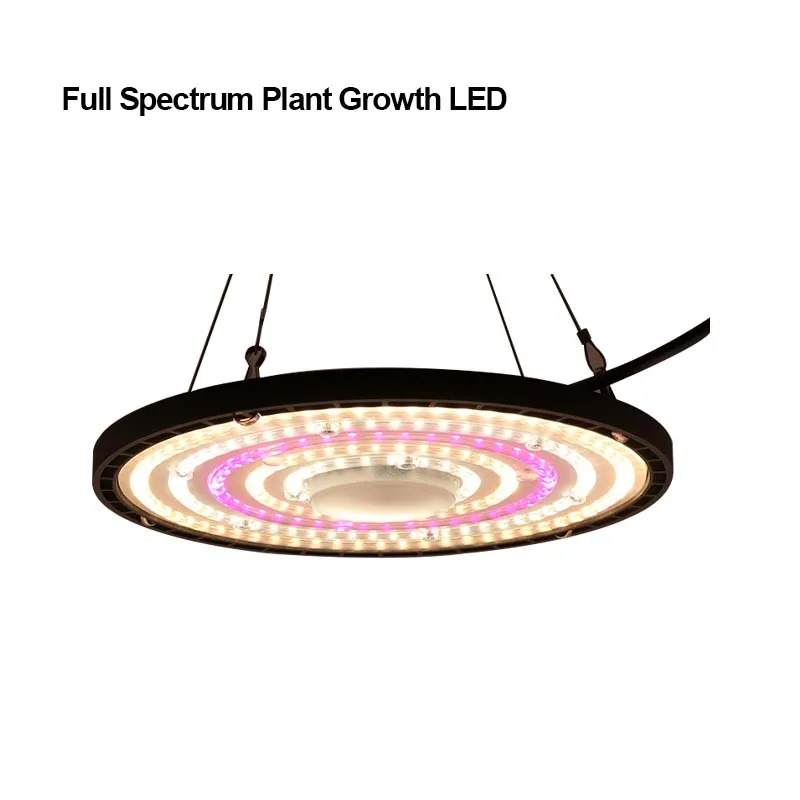 High Bay LED Full Spectrum Grow Lights Indoor Dragon Fruit Planting Greenhouse Greenhouse Greenhouse Planting Dragon Lights