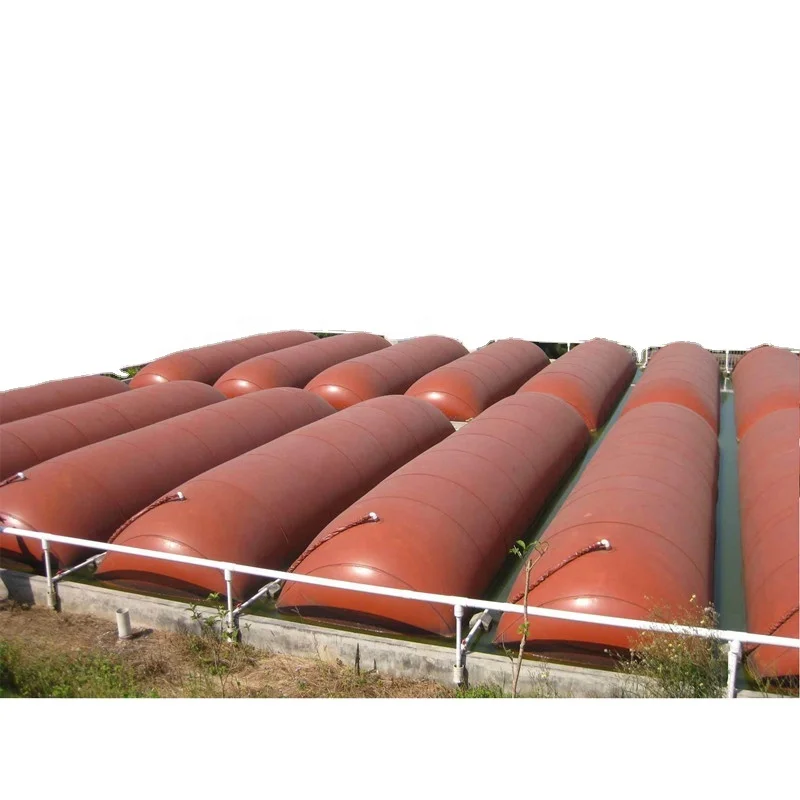medium size large scale biogas digester plant for cow farm