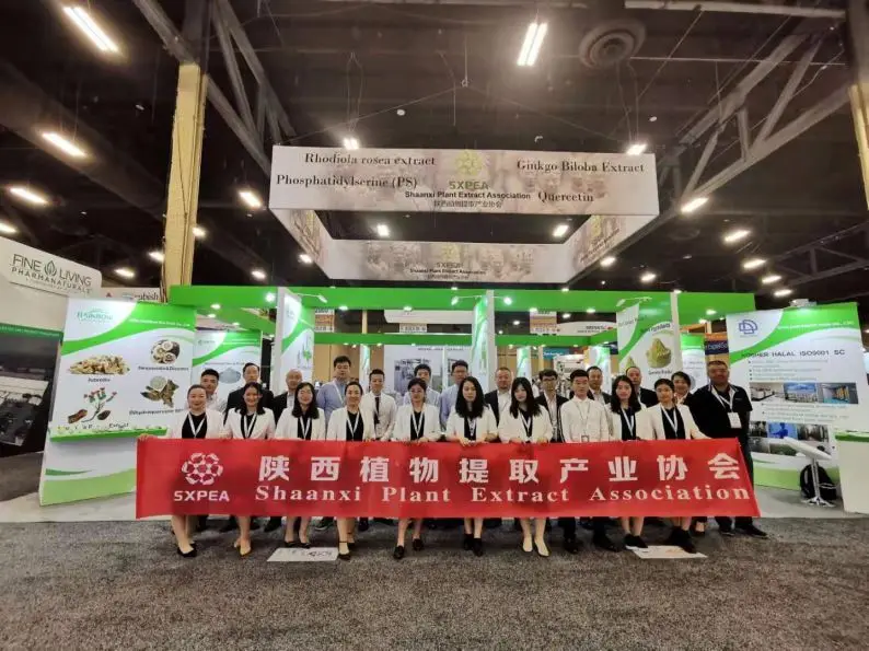 Competitive Price Shiitake Mushroom Extract - Polysaccharides10%-50%