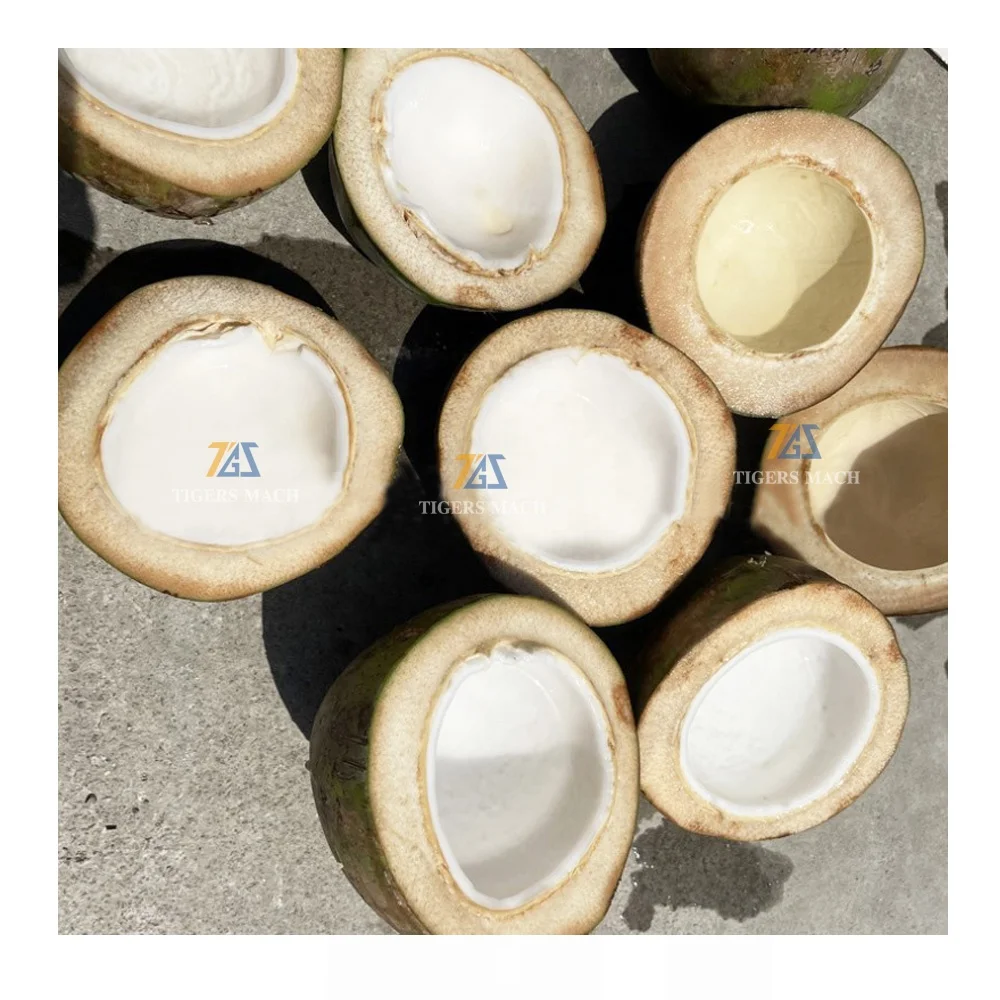 Promotion price Tigers tender coconut water half cutting opened machinery