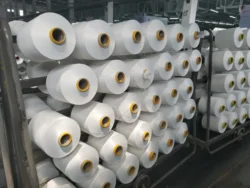100% Polyester Yarn DTY 300D/576F SD RW SIM