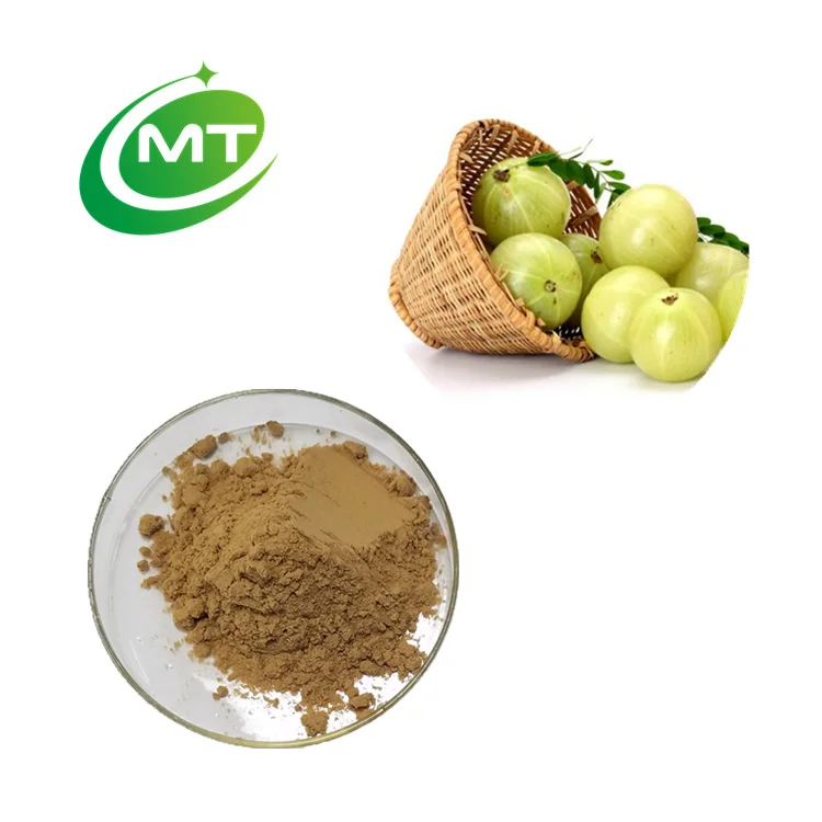 Organic Amla fruit powder Emblica officinalis Phyllanthus Emblica Extract