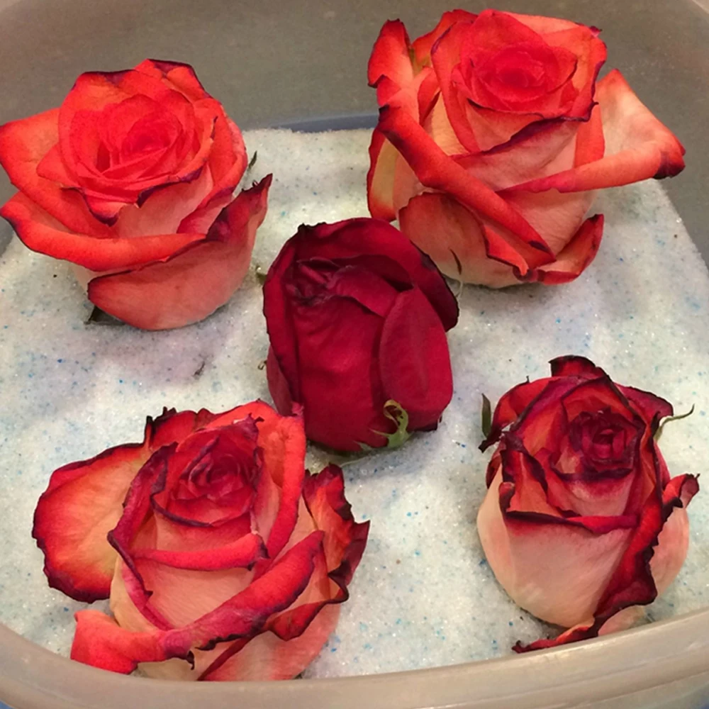 Absorb King 1KG Custom Reusable Silica Sand Flowers For Drying Flowers Drying Crystal