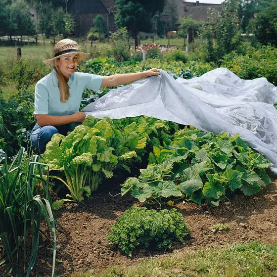 hydrophilic UV stabilized polypropylene spun bond non-woven fabric vegetable garden covers