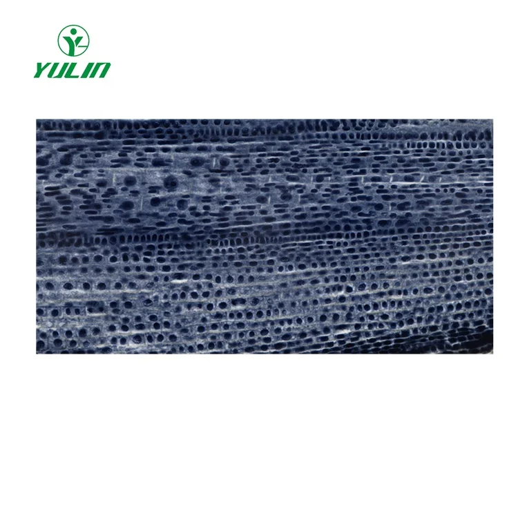 Teaching and learning botany prepared microscope slides